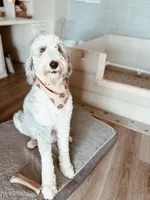 processed/8a207670-8367-4970-b450-ecc7636e5874/facility/579e51dc-8be7-4eab-ac9e-614515d71e6c