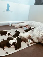 processed/8a207670-8367-4970-b450-ecc7636e5874/facility/79506166-37cb-4137-9b72-fa80f583e2d2