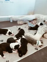 processed/8a207670-8367-4970-b450-ecc7636e5874/facility/bea804e3-27ec-4334-9a3c-9af0703e7ae1