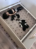 processed/8a207670-8367-4970-b450-ecc7636e5874/facility/de9f8c7f-631a-498a-b3dd-7cf7a290f58b