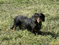 processed/8a2a7b0c-c15f-4dab-a02f-1ada37fa87ed/listing/dcc28074-ba4e-4bf2-9a12-8ae9588e837e/6817d726-896e-4183-8307-f676f2820899