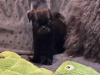 processed/8a2f6f2b-bf41-4ed9-b30d-c68e38c9b154/facility/67e4370a-498b-4db8-8b98-4a42a7a0ffd9