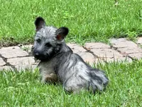 processed/8a2f6f2b-bf41-4ed9-b30d-c68e38c9b154/facility/8519a333-2345-48be-8304-205dbbaef8a4