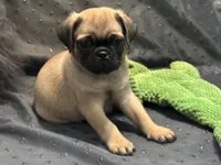 processed/8a2f6f2b-bf41-4ed9-b30d-c68e38c9b154/facility/b06d3ebd-7698-47d7-a1c4-0a53589ebf9d