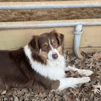 processed/8a30f685-efcd-4d91-ac4f-c8754466aec9/facility/254e939d-3b0c-47c1-b52c-4266d72c3d99