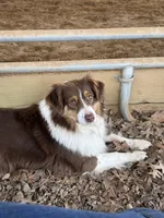 processed/8a30f685-efcd-4d91-ac4f-c8754466aec9/facility/254e939d-3b0c-47c1-b52c-4266d72c3d99