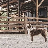 processed/8a30f685-efcd-4d91-ac4f-c8754466aec9/facility/306b787f-5692-4eab-a6f1-91f9a83e0127