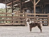 processed/8a30f685-efcd-4d91-ac4f-c8754466aec9/facility/306b787f-5692-4eab-a6f1-91f9a83e0127