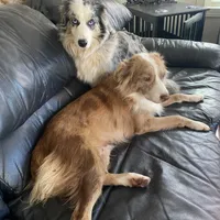 processed/8a30f685-efcd-4d91-ac4f-c8754466aec9/facility/4c5395c7-3749-4391-a84a-d8689167da03