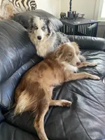 processed/8a30f685-efcd-4d91-ac4f-c8754466aec9/facility/4c5395c7-3749-4391-a84a-d8689167da03