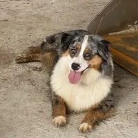 processed/8a30f685-efcd-4d91-ac4f-c8754466aec9/facility/7eaf9daa-bd23-4cbd-97c4-a7561409a320