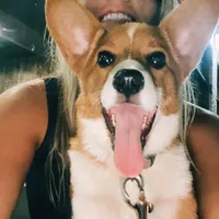 processed/8a30f685-efcd-4d91-ac4f-c8754466aec9/facility/ce2c77e6-44ed-4c06-a248-d4ff4ddf5167