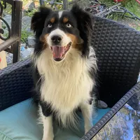 processed/8a30f685-efcd-4d91-ac4f-c8754466aec9/facility/ce919c36-bec7-41ff-ab58-91d3ba32b850