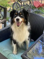 processed/8a30f685-efcd-4d91-ac4f-c8754466aec9/facility/ce919c36-bec7-41ff-ab58-91d3ba32b850