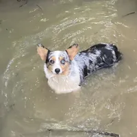 processed/8a30f685-efcd-4d91-ac4f-c8754466aec9/facility/e830e1d8-7c46-4c29-bced-54f165b2b4ef