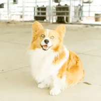 processed/8a30f685-efcd-4d91-ac4f-c8754466aec9/facility/f2e4ff40-bf5b-4e6a-bfe5-25c81e88ff1a