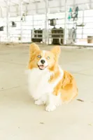 processed/8a30f685-efcd-4d91-ac4f-c8754466aec9/facility/f2e4ff40-bf5b-4e6a-bfe5-25c81e88ff1a