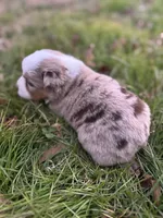 processed/8a30f685-efcd-4d91-ac4f-c8754466aec9/listing/3b013a2e-8018-4ec2-af10-4079560f3e35/2acbcfea-8c29-41d2-bbde-217a098a22a4