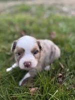 processed/8a30f685-efcd-4d91-ac4f-c8754466aec9/listing/3b013a2e-8018-4ec2-af10-4079560f3e35/6b6df62a-4d6d-4f25-a8c6-2134b23165af