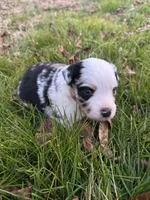 processed/8a30f685-efcd-4d91-ac4f-c8754466aec9/listing/3d9b88c4-f399-4c74-b64f-ca53f57b2454/a2b7a22e-20fc-4dae-9469-97cc214c1dda