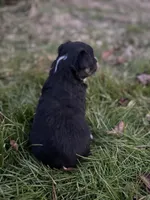 processed/8a30f685-efcd-4d91-ac4f-c8754466aec9/listing/e6e7a8fd-72d6-455b-ace8-caca814f20af/41562481-eb7f-4394-abd0-f76578d890ce