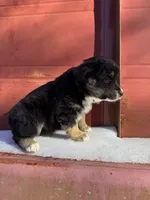 processed/8a30f685-efcd-4d91-ac4f-c8754466aec9/listing/e6e7a8fd-72d6-455b-ace8-caca814f20af/543b3f8a-8d36-40d0-98ef-0725fb67e19e