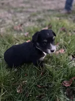 processed/8a30f685-efcd-4d91-ac4f-c8754466aec9/listing/e6e7a8fd-72d6-455b-ace8-caca814f20af/e7e4d77f-e340-4aa3-bb62-ad62e6e53d5b