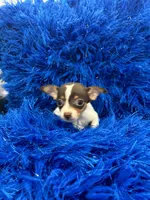 processed/8a33daa0-cecc-4b89-a5b1-d2830b4e6d58/listing/c02bc257-baab-4c3d-951b-358a67d6a5ba/19ecbc78-d6b4-476c-83e0-c9fcd5790f98