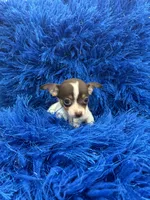 processed/8a33daa0-cecc-4b89-a5b1-d2830b4e6d58/listing/c02bc257-baab-4c3d-951b-358a67d6a5ba/87340d79-f64a-4af9-be7e-4a36f00def5b