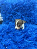 processed/8a33daa0-cecc-4b89-a5b1-d2830b4e6d58/listing/c02bc257-baab-4c3d-951b-358a67d6a5ba/a5f89cff-5198-4e80-bde2-6b24dde41fad