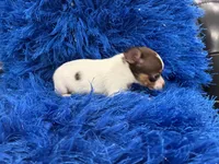 processed/8a33daa0-cecc-4b89-a5b1-d2830b4e6d58/listing/c02bc257-baab-4c3d-951b-358a67d6a5ba/ad210b3b-0e72-4b4f-85bd-9c0cdc9485f2