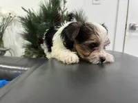 processed/8a33daa0-cecc-4b89-a5b1-d2830b4e6d58/listing/fccf7334-aabd-42c8-bfda-12ec8b11d0f6/161010d7-d0d0-4cd4-b320-9bfcf743fc32