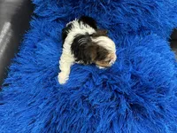 processed/8a33daa0-cecc-4b89-a5b1-d2830b4e6d58/listing/fccf7334-aabd-42c8-bfda-12ec8b11d0f6/2cfa72a8-df73-45f5-90eb-cae3e27e3eaf