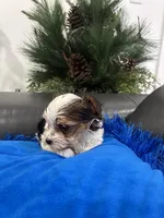 processed/8a33daa0-cecc-4b89-a5b1-d2830b4e6d58/listing/fccf7334-aabd-42c8-bfda-12ec8b11d0f6/5bee4b2c-1283-41ed-b4f1-d06923d5aa19