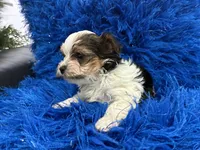 processed/8a33daa0-cecc-4b89-a5b1-d2830b4e6d58/listing/fccf7334-aabd-42c8-bfda-12ec8b11d0f6/744ee89f-d90d-4af2-8745-c7c7e9b3783f