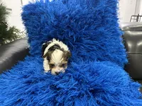 processed/8a33daa0-cecc-4b89-a5b1-d2830b4e6d58/listing/fccf7334-aabd-42c8-bfda-12ec8b11d0f6/bfb4fb26-f056-4197-93f2-596f11dd9d0b