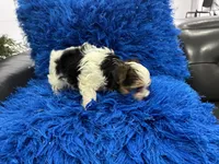 processed/8a33daa0-cecc-4b89-a5b1-d2830b4e6d58/listing/fccf7334-aabd-42c8-bfda-12ec8b11d0f6/e471d6da-9f50-457e-9c68-18de707d7717