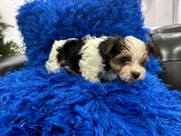 processed/8a33daa0-cecc-4b89-a5b1-d2830b4e6d58/listing/fccf7334-aabd-42c8-bfda-12ec8b11d0f6/e8f75a07-ebb7-4c6c-a955-114352bc380a