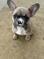 processed/8a373aa0-1577-4bd5-8c7f-a95fb0763265/listing/a16c755e-9456-43d5-8494-ca56ae0ca133/4a111bac-be65-4b26-99ab-fb4006d01e3c