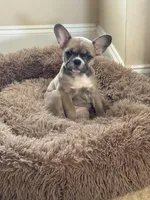 processed/8a373aa0-1577-4bd5-8c7f-a95fb0763265/listing/a16c755e-9456-43d5-8494-ca56ae0ca133/6aee19e0-39f3-458a-8b61-43e8bff6805b