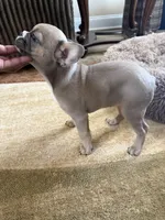 processed/8a373aa0-1577-4bd5-8c7f-a95fb0763265/listing/a16c755e-9456-43d5-8494-ca56ae0ca133/c9a4f1e6-bbeb-4ed9-97ae-ab47590651fc