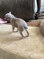 processed/8a373aa0-1577-4bd5-8c7f-a95fb0763265/listing/a16c755e-9456-43d5-8494-ca56ae0ca133/eef5ffb5-9dbf-4604-8f6d-07acd85ed49c