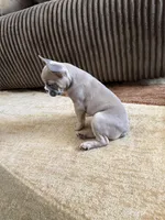 processed/8a373aa0-1577-4bd5-8c7f-a95fb0763265/listing/a16c755e-9456-43d5-8494-ca56ae0ca133/f0e82300-531d-4975-8b49-a520d0f72f43