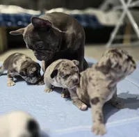 processed/8a409453-19b3-4e03-818e-fbe5dc8319a9/facility/01d8a324-d102-4058-b6df-a6cfde77972b