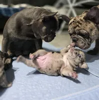 processed/8a409453-19b3-4e03-818e-fbe5dc8319a9/facility/d65330e2-1db2-4310-814e-fd0e9363e4ec