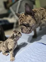 processed/8a409453-19b3-4e03-818e-fbe5dc8319a9/facility/e698cb73-4fc0-4782-91ac-2dc80822c184