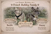 processed/8a409453-19b3-4e03-818e-fbe5dc8319a9/facility/f0bfe1f3-14bd-429f-9671-7514e32ff46f