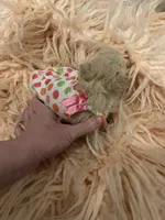 Teacup Chanel, a female Poodle - Toy  for sale in Fairfield Bay, AR – 4 of 5