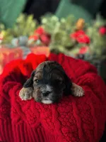 processed/8a4a3a12-6692-42a0-9c84-1f7e50eba6a7/listing/15393600-bfb2-4186-8f86-d3771caa0502/05b6b24d-da62-4c68-b817-86cd55b70f17