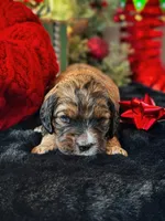 processed/8a4a3a12-6692-42a0-9c84-1f7e50eba6a7/listing/15393600-bfb2-4186-8f86-d3771caa0502/147493c0-8a16-45af-8f6e-1a3a8982c495